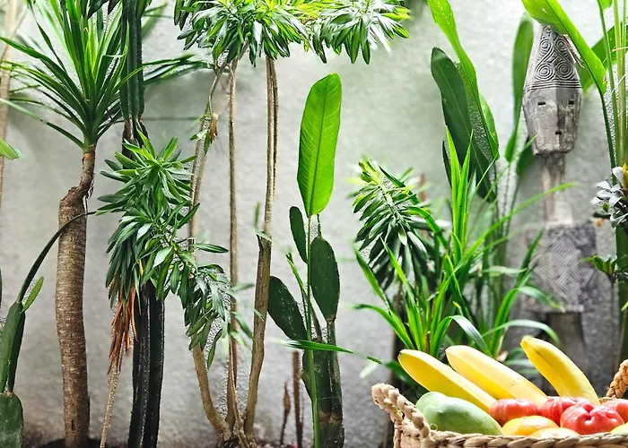 Apart Otel Lila Concept Ubud